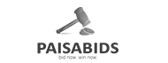 在线ddos网页端